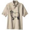 Tall Silk Touch Polo Thumbnail